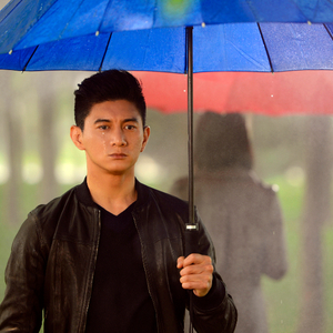 农民伯伯第三部第2集在线观看
